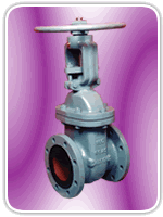 Cast Iron Gate Valve